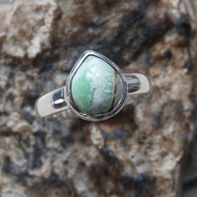 Load image into Gallery viewer, AUSTRALIAN VARISCITE