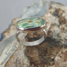 Load image into Gallery viewer, AUSTRALIAN VARISCITE